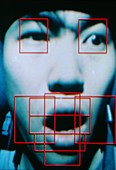 Face mapping for a Japanese opera simulation