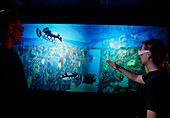 Virtual reality tank of the Lisbon Oceanarium