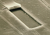 Electron micrograph of compact disc