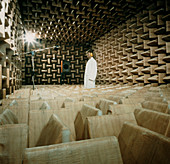 Echo-free chamber used in sound research