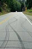 Skid marks on a road