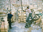 Freight workers unload sacks of coffee from a ship