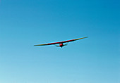 Glider in free flight