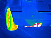 Car exhaust,thermogram