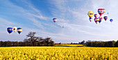 Hot air balloons over rape seed fields