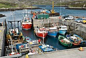 Boats in a harbour