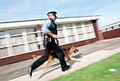 Police dog chase