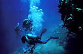 Scuba diver at the coral reef,Red Sea,Israel
