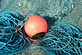 Fishing net buoy