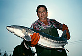 Sturgeon fish