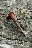 Rusty nail