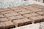 Mud bricks