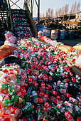 PET plastics drink bottles at recycling facility