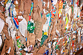 Recycling domestic waste,cardboard