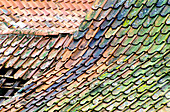 Old tiled roof
