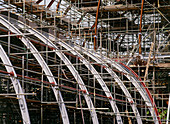Scaffolding at Palm House ,Kew Gardens