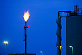 Gas flare