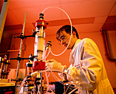 Scientist with chromatography equipment