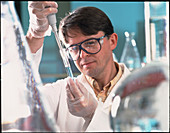 Chemist uses pipettor (pipette) in an analysis