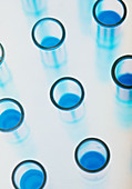 Test tubes containing blue liquid