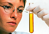 Female technician examining a test tube