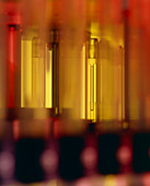 Test tubes in an NMR spectrometer