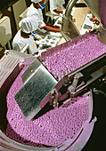 Hopper with tablets,drug production line
