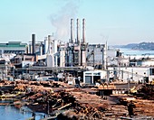 Timber processing plant,Port Angeles