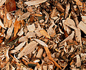 View of wood chips