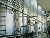 Milk storage tanks at a cheese making factory