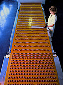 Woman working on a chocolate bar production line