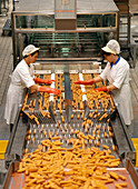 Fish finger production line