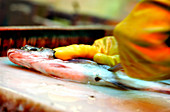 Fish preparation