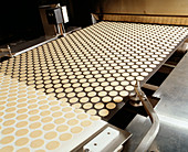 Biscuit manufacture