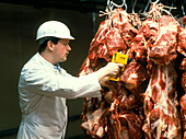 Quality control of pig carcasses in an abattoir