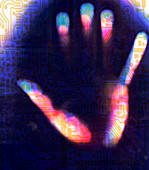 Hand biometrics