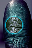 Thumb print recognition