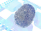 Biometric fingerprint scan,artwork