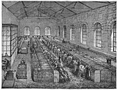 Paper manufacturing,19th century