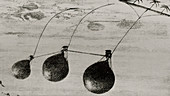 Arctic balloon trio