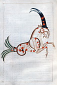 Aries the Ram,13th century artwork