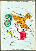 Delphinus and Aquila constellations