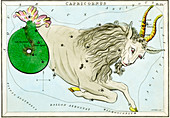 Capricornus constellation