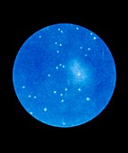 Encke's Comet of 1848