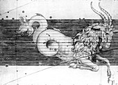 Capricorn constellation,1603