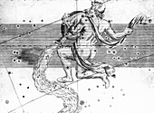 Aquarius constellation,1603