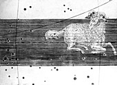 Aries constellation,1603