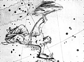 Andromeda constellation,1603