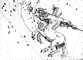 Centaurus constellation,1603