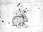 Lepus constellation,1603
